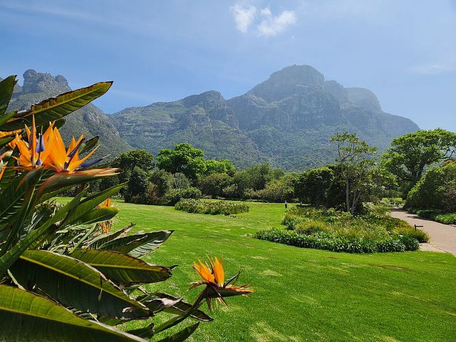 Kirstenbosch National Botanical Garden 2024 7th batch 09