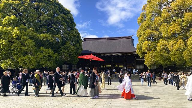 Meiji Jingu 2023-3