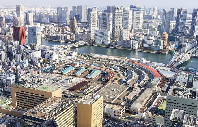 2018 Tsukiji fish market